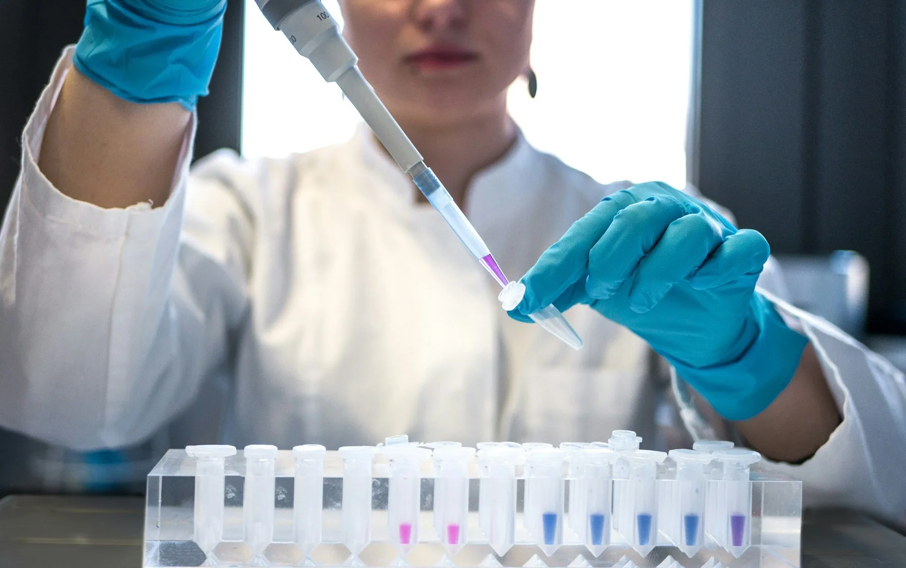 A scientist pipetting a sample into laboratory testing tubes