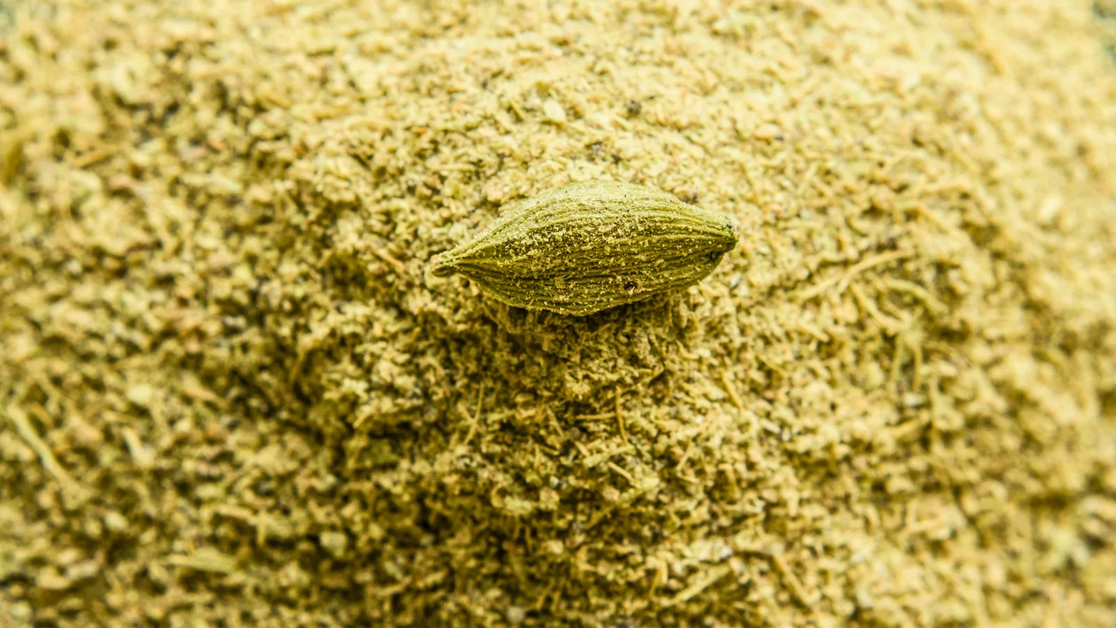 Close-up of a cardamom pod resting on ground ingredient