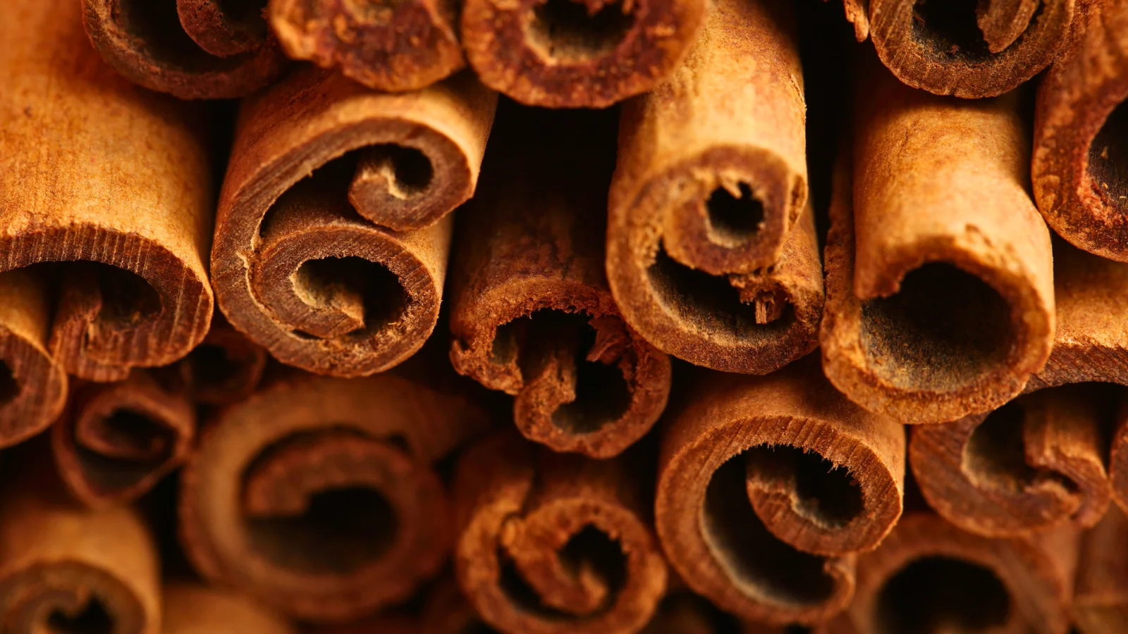 Close-up of whole cinnamon sticks